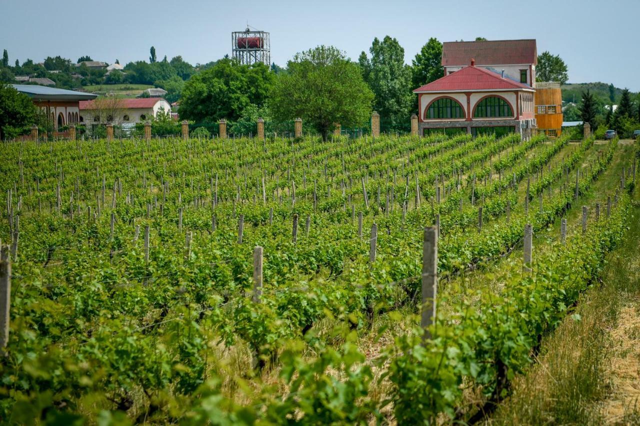 Chabiant Guesthouse Chateau Monolit Ikinci Yeniyol Exterior foto